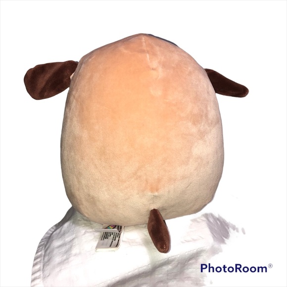 Squishmallow 8" Doug the Brown Dog W/ Eye Patch Stuffed Animal Plush Paw Prints - Picture 3 of 12